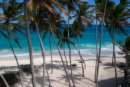 barbados