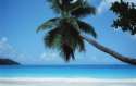 St Vincent & the Grenadines