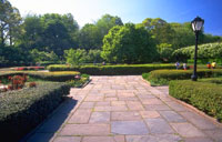 Central Park